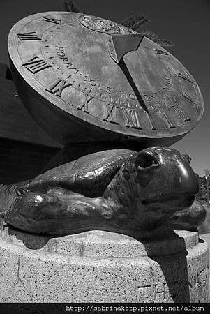 IMG_0205