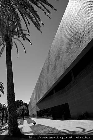 IMG_0203