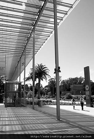 IMG_0248