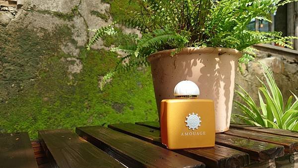 AMOUAGE Beach Hut 逐浪