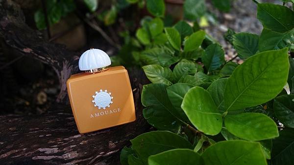 AMOUAGE Beach Hut 逐浪