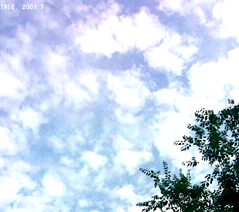 1143d29e7ca.jpg.gif