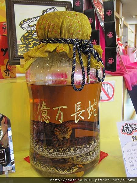 2014.01.19玉泉洞王國村