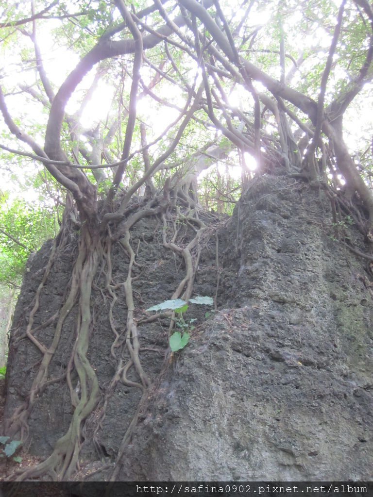2014.10.16小琉球-山豬溝 (8).JPG
