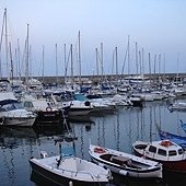 DSC05053.JPG