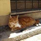 DSC05189.JPG