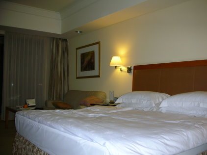 DSCN7900.JPG