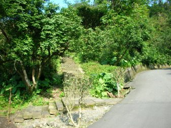 DSCN8136.JPG