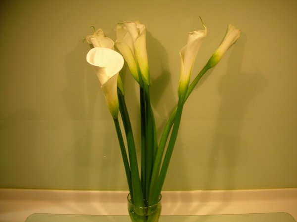DSCN8782.JPG