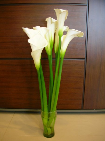 DSCN8785.JPG