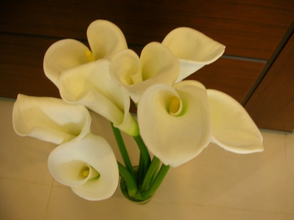 DSCN8786.JPG