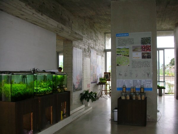DSCN8776.JPG