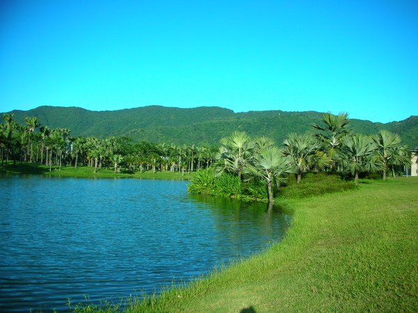 DSCN0320.JPG