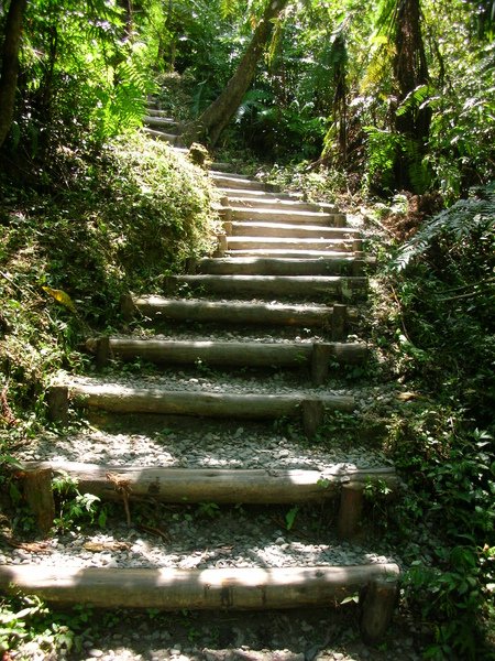 DSCN1022.JPG
