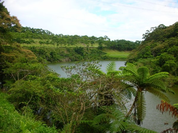 DSCN1049.JPG
