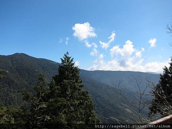 IMG_9774.JPG