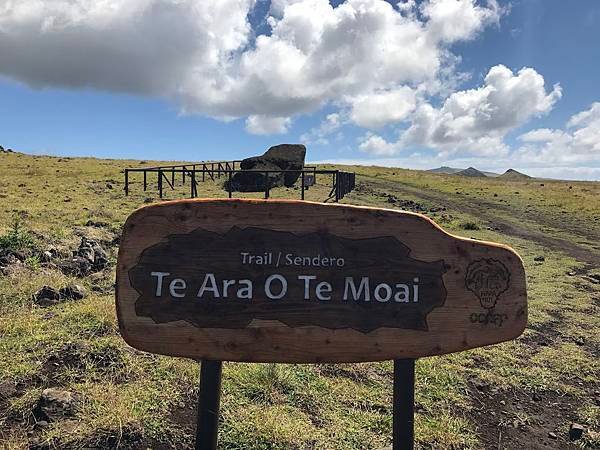 45Te Ara O Te Moai.JPG