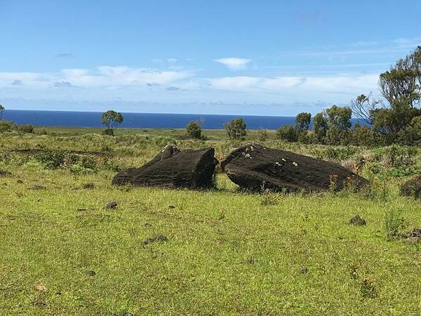 63Rano Raraku.JPG