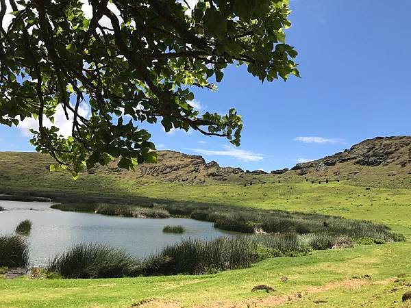 113Rano Raraku.JPG