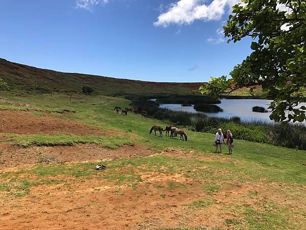 115Rano Raraku.JPG