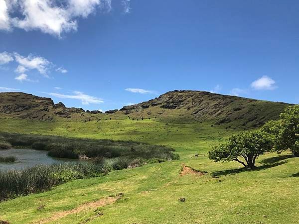 111Rano Raraku.JPG