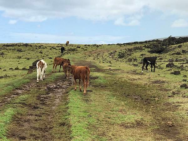 61EASTER ISLAND.JPG