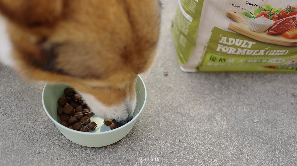 優格寵物食譜 飼料推薦 嗜口性佳 益生菌 _0205.png