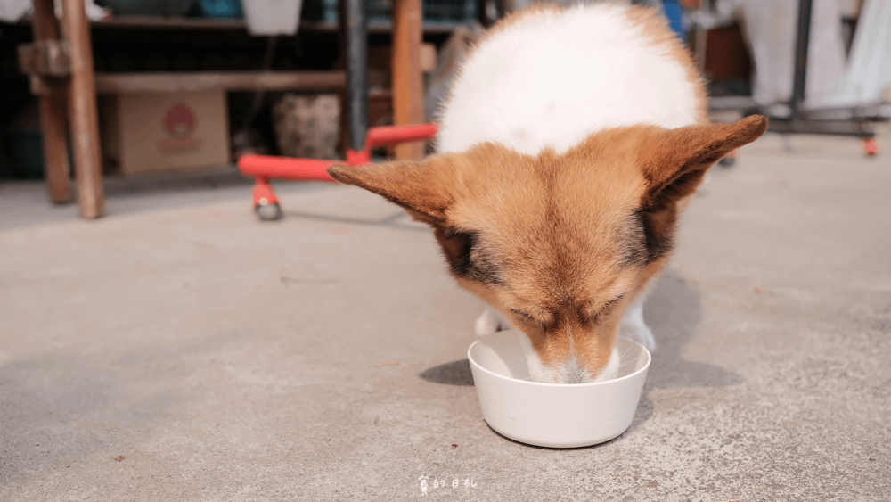 狗狗保健品 汪汪寶貝 狗狗補鈣 毛髮皮膚 腸胃 防禦力 毛小孩保健品 貓咪保健品 貓咪補鈣-24.png