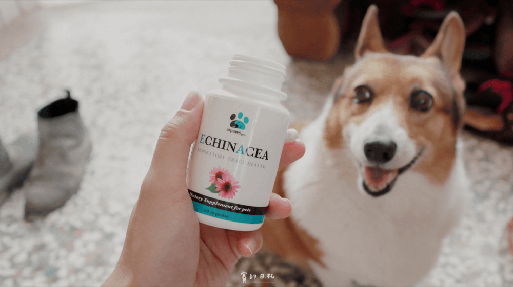 愛寶 寵物保健食品 aipowspro 寵物呼吸道保健品 優呼寶 睛亮寶 寵物眼睛保健品 賽的日札_-20.png