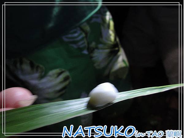 DSC05517164