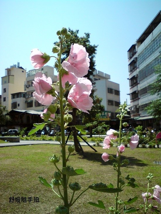 20230730-11.JPG