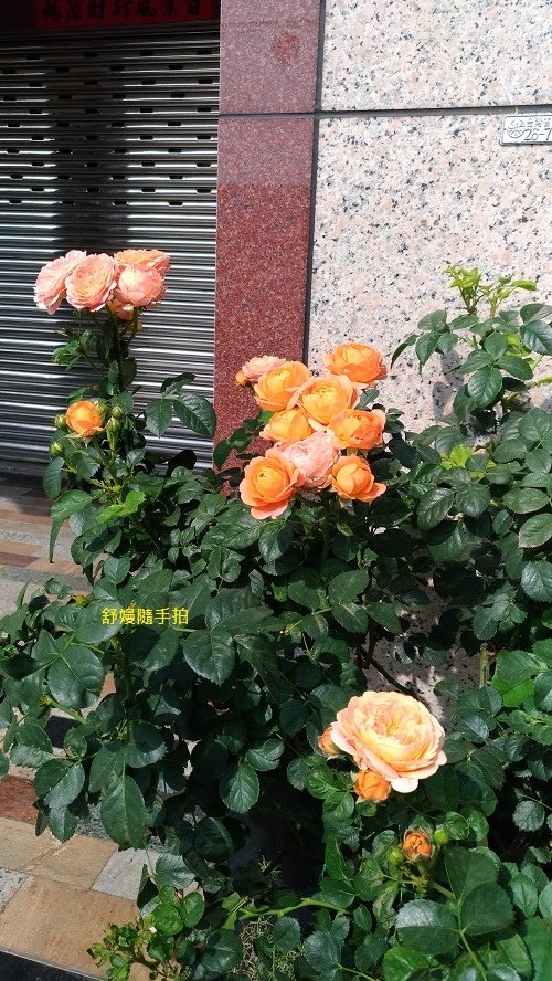20250118-6.jpg