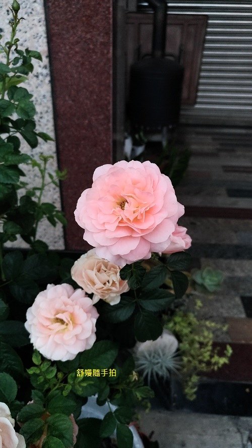 20250118-10.jpg