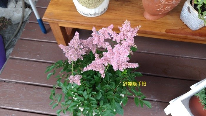 20250427-1.jpg