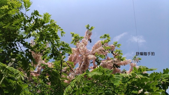 20250501-13.jpg