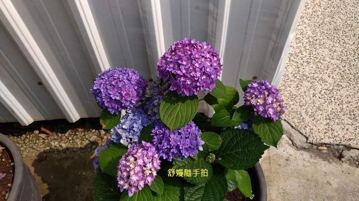 20250506.jpg