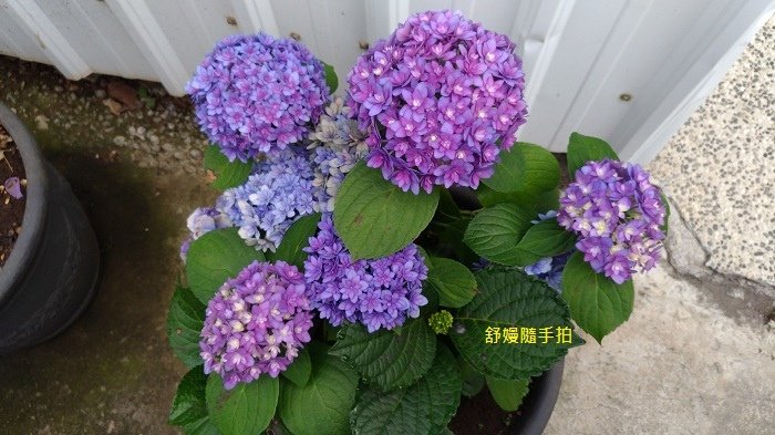 20250506-1.jpg