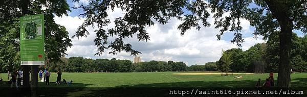 IMG_6142_2
