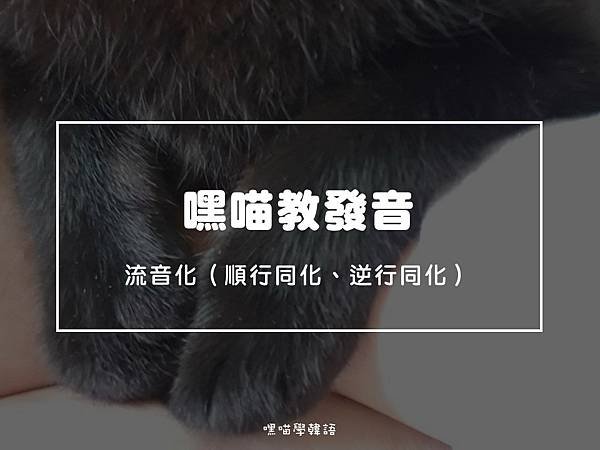 投影片1.JPG