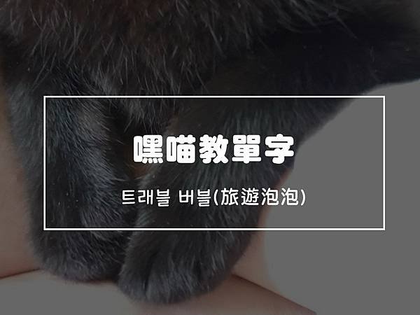 投影片1.JPG