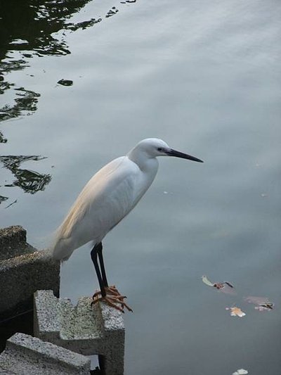 DSCF5711.JPG