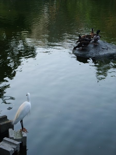 DSCF5715.JPG