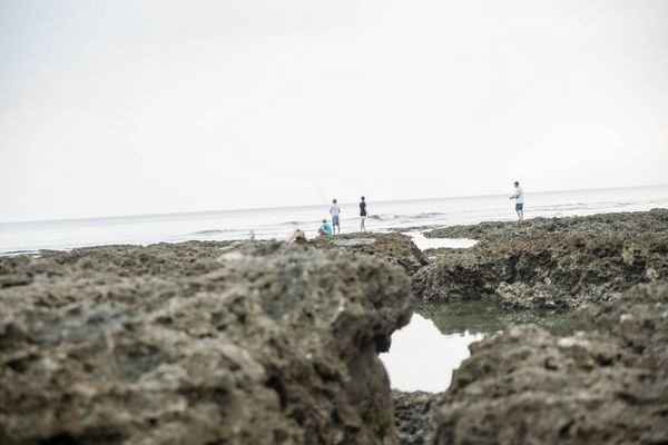 2020.08.16後壁湖星砂灣.小巴里島灘岩.萬里桐 (88).jpg