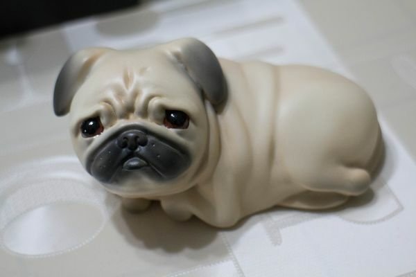 Bid Toys   粗豬食堂 巴蚵 新成員 PUGER 巴哥犬 公仔 (9).jpg