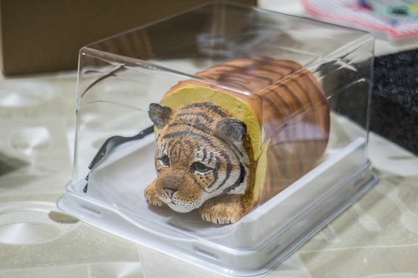  當我們ㄍㄡˇ在一起  虎皮蛋糕 (14).jpg