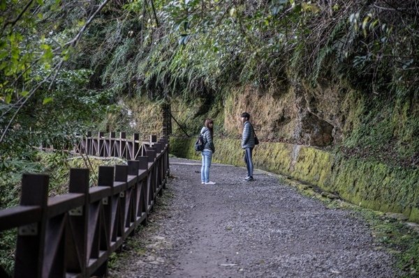 2019.03.01拉拉山雲河露營農場森林遊樂區 (19).jpg