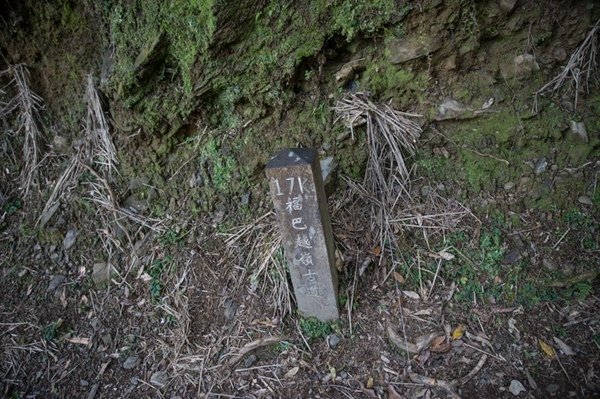 2019.03.01拉拉山雲河露營農場森林遊樂區 (37).jpg