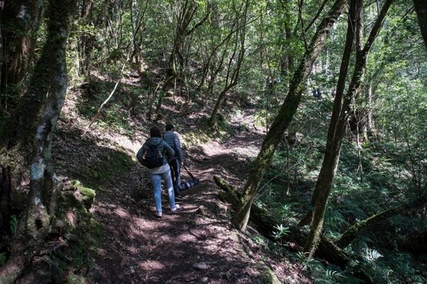 2019.03.01拉拉山雲河露營農場森林遊樂區 (47).jpg