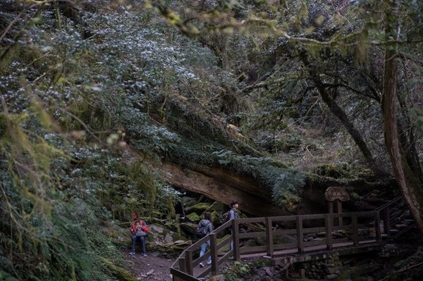 2019.03.01拉拉山雲河露營農場森林遊樂區 (52).jpg