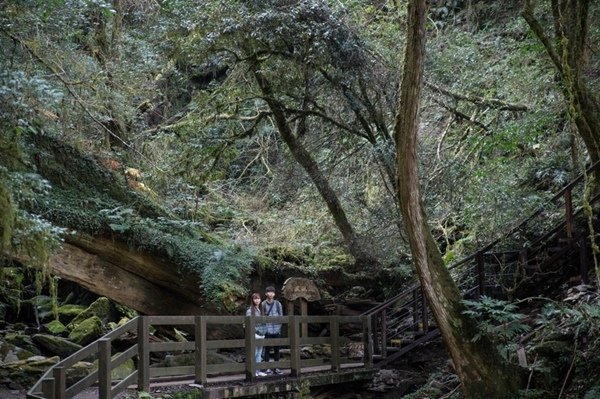 2019.03.01拉拉山雲河露營農場森林遊樂區 (53).jpg